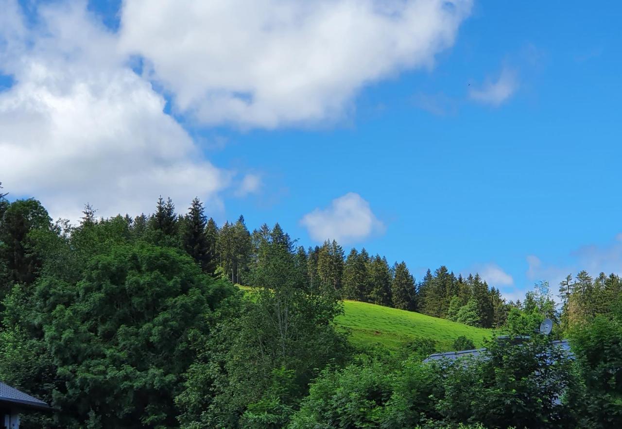Ferienwohnung Hitz Hinterzarten Kültér fotó