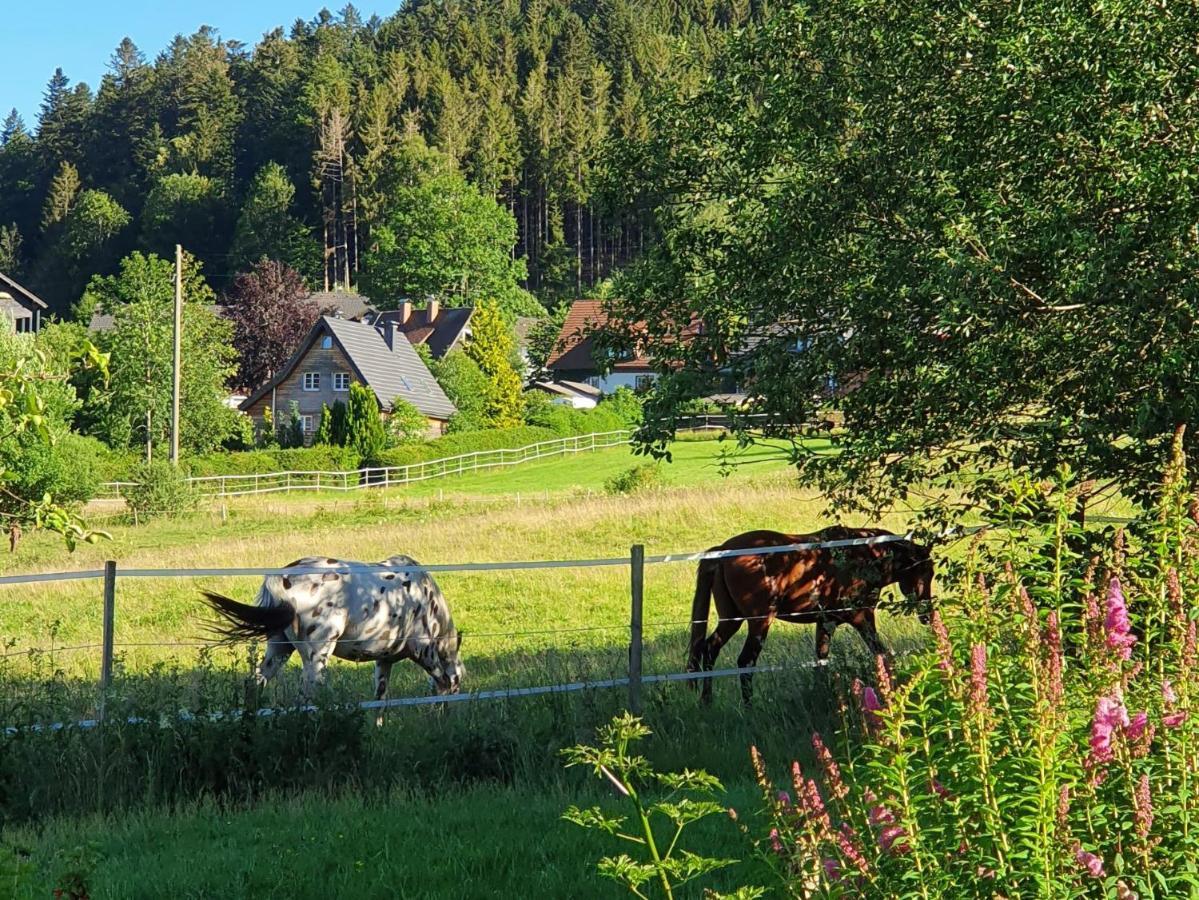 Ferienwohnung Hitz Hinterzarten Kültér fotó